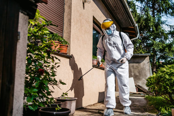 Wildlife Control Services in Gladewater, TX