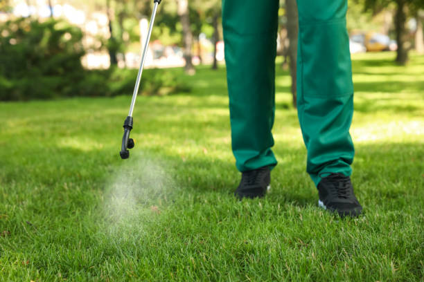 Best Pest Control Near Me in Gladewater, TX