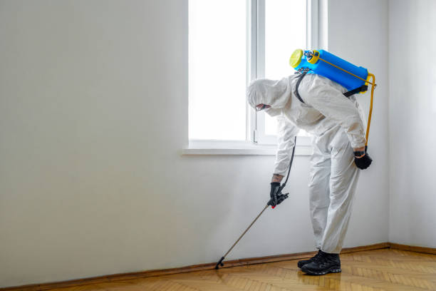 Best Exterminator Services  in Gladewater, TX