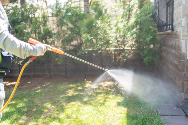 Spider Control Near Me in Gladewater, TX