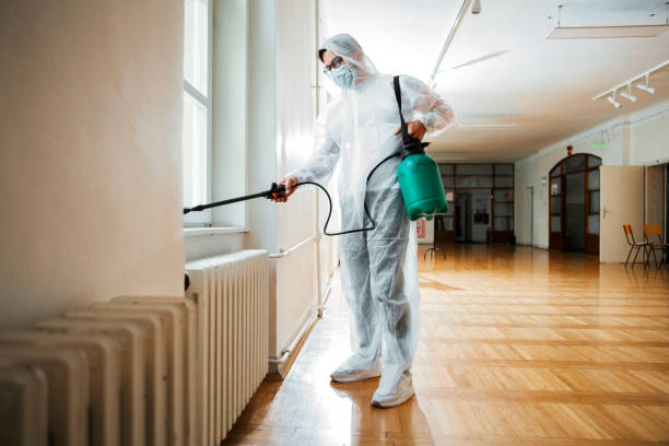 Flea Control Services in Gladewater, TX