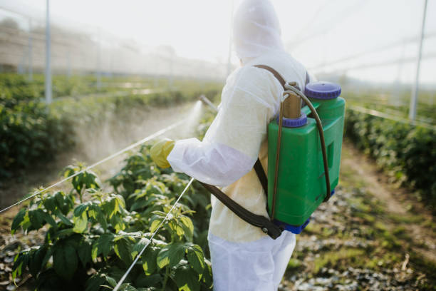 Best Affordable Pest Control Services  in Gladewater, TX